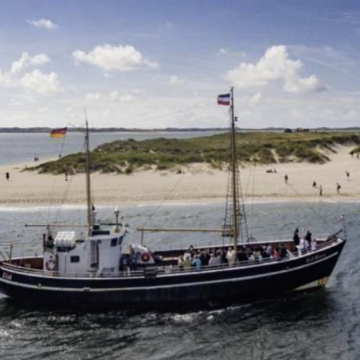 Bildschirmfoto 2026-03-10 um 09.28.38 Flossen hoch in List: Die Ruhephasen der Seehunde sind wieder offiziell eröffnet