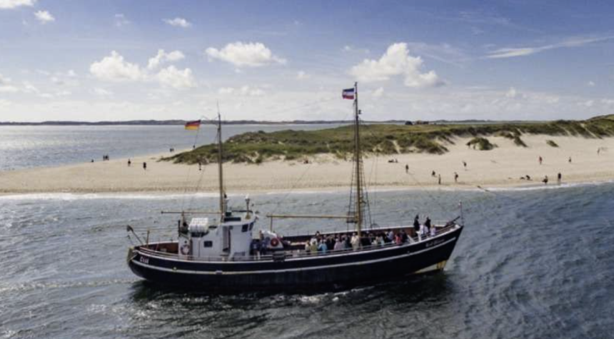 Flossen hoch in List: Die Ruhephasen der Seehunde sind wieder offiziell eröffnet