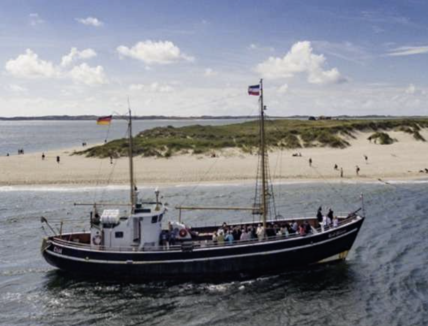 Flossen hoch in List: Die Ruhephasen der Seehunde sind wieder offiziell eröffnet