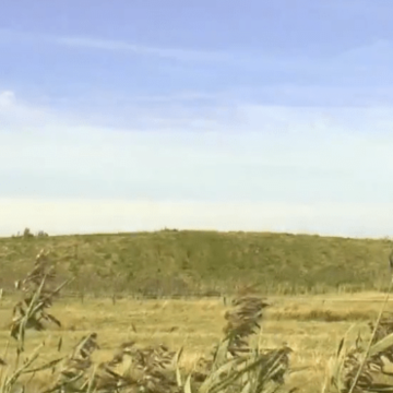 Friesische Urkraft im Wiesengrün: Das Rätsel der Tinnumburg