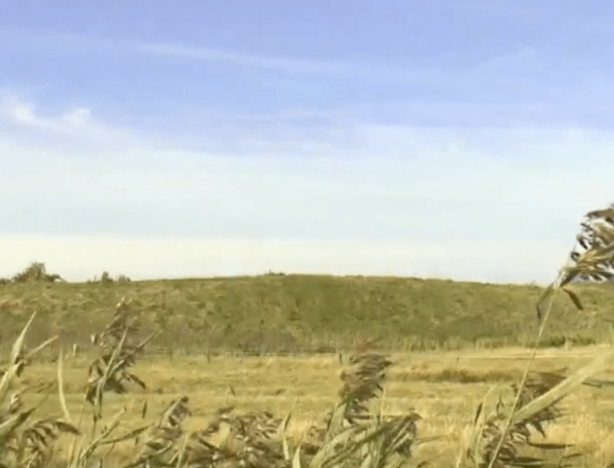 Friesische Urkraft im Wiesengrün: Das Rätsel der Tinnumburg Friesische Urkraft im Wiesengrün: Das Rätsel der Tinnumburg
