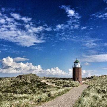 Dünen mit Strandhafer auf Sylt – Bitte um Dünenschutz